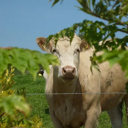 Nocleg ze śniadaniem Seafield