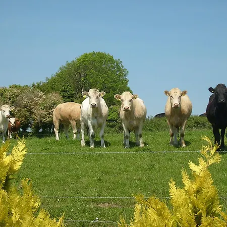 Bed & Breakfast Seafield Farmhouse 3*