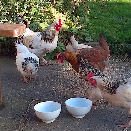 Seafield Farmhouse