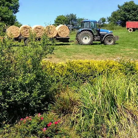 Bed & Breakfast Seafield Farmhouse