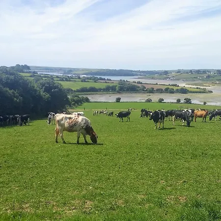 Bed & Breakfast Seafield Farmhouse Kilbrittain