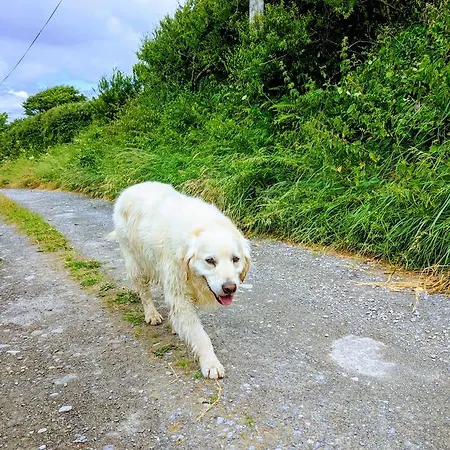 Seafield Nocleg ze śniadaniem
