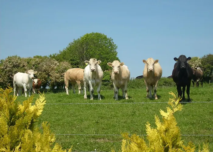 לינה וארוחת בוקר Seafield 3*