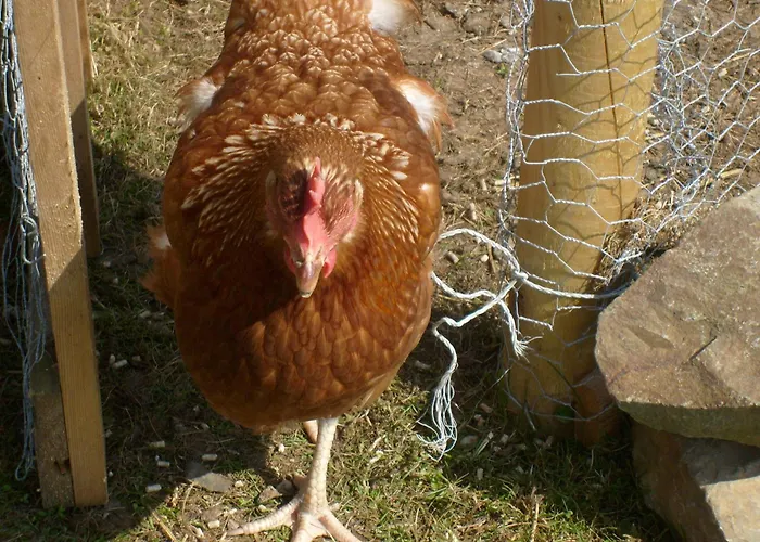 Seafield Kilbrittain