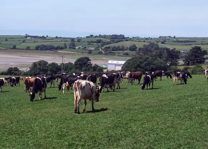 Seafield 3* Kilbrittain