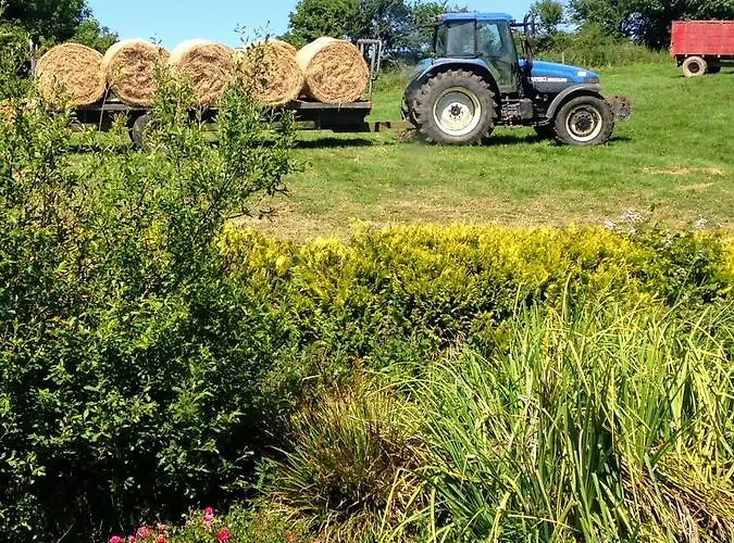 Couette-café Seafield