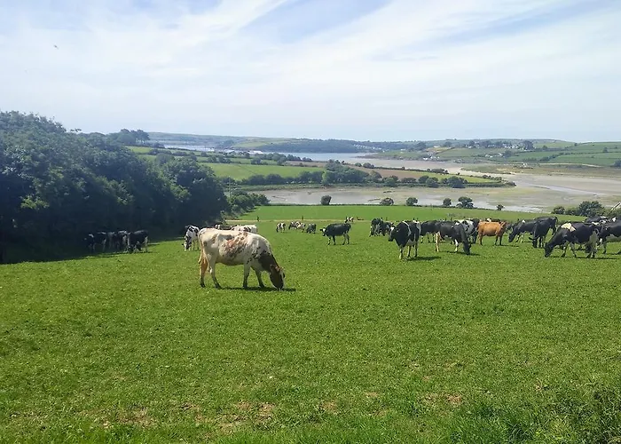 Alojamento de Acomodação e Pequeno-almoço Seafield Kilbrittain